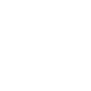 The type of shingle chosen